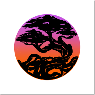 Sunset Bonsai Posters and Art